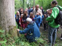 Amphibien_und_Singvögel_2015_05_17